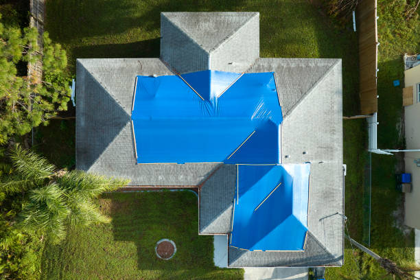 Best Roof Moss and Algae Removal  in Village Green Green Ridge, PA